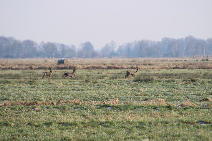 img_4953.jpg