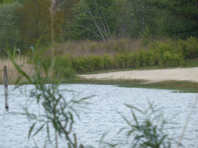 p1440436.jpg