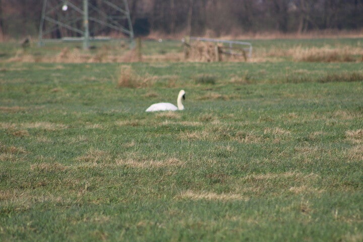 img_4976.jpg