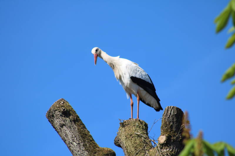 img_0829-standard-yhtedx.jpg