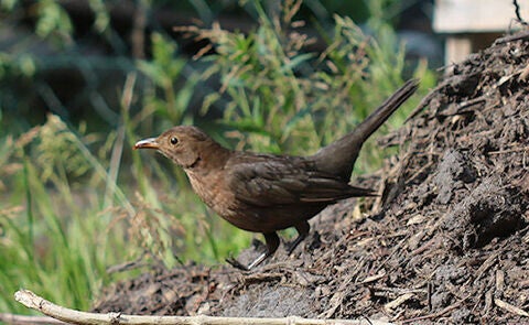 img_1210-standard-iowg0u.jpg