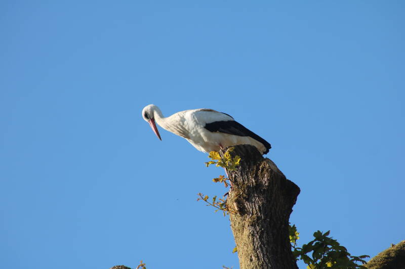 img_1656-standard-28miv9.jpg