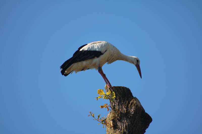 img_1660-standard-n8jpbg.jpg