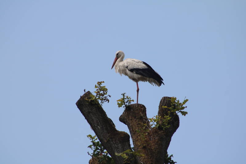 img_2235-standard-thkqlq.jpg