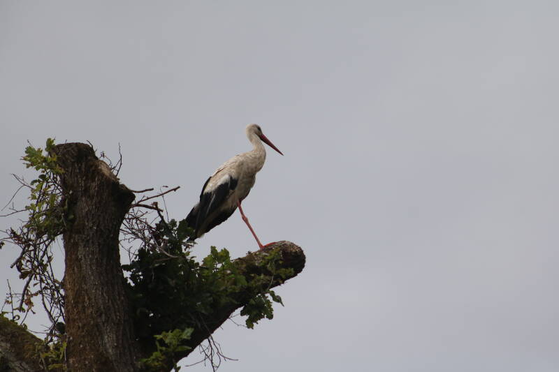 img_2284-standard-7g1do4.jpg