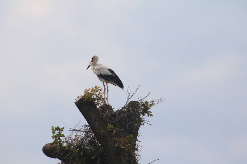 img_2577-standard.jpg