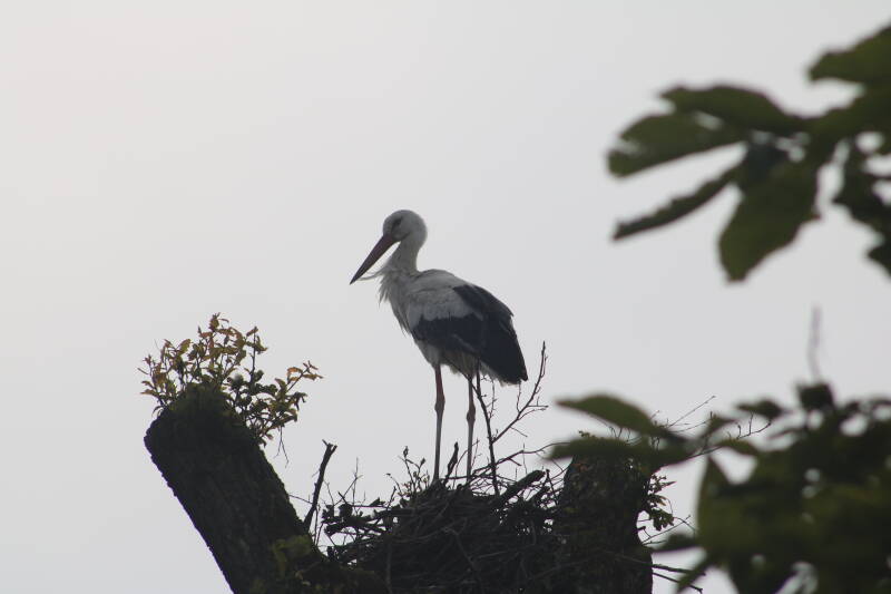 img_2580-standard.jpg