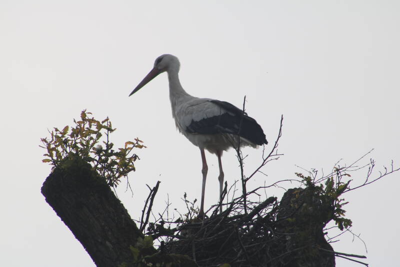 img_2589-standard.jpg