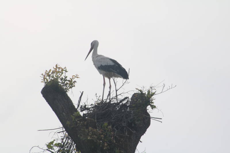 img_2595-standard.jpg