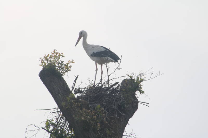 img_2597-standard.jpg
