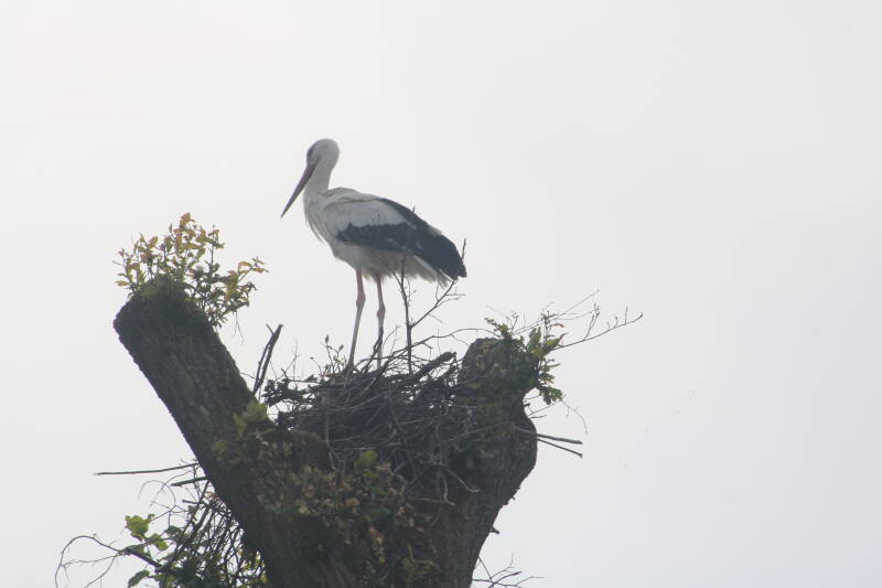 img_2598-standard.jpg