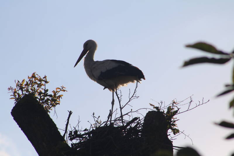 img_2605-standard.jpg