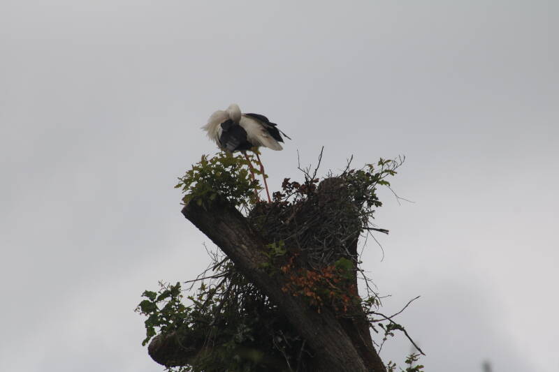 img_3665-standard.jpg