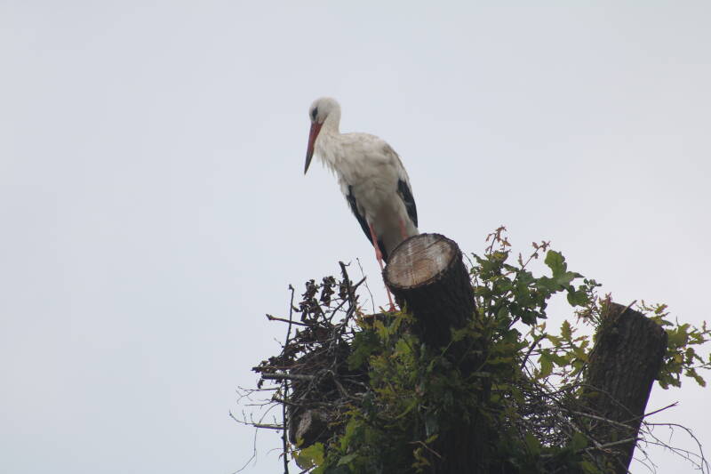 img_3672-standard.jpg