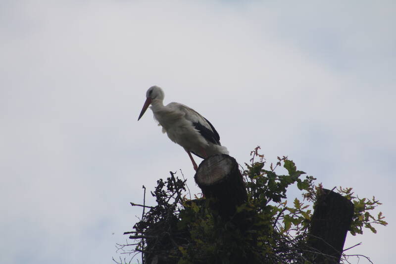 img_3679-standard.jpg