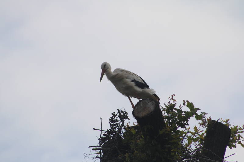 img_3680-standard.jpg