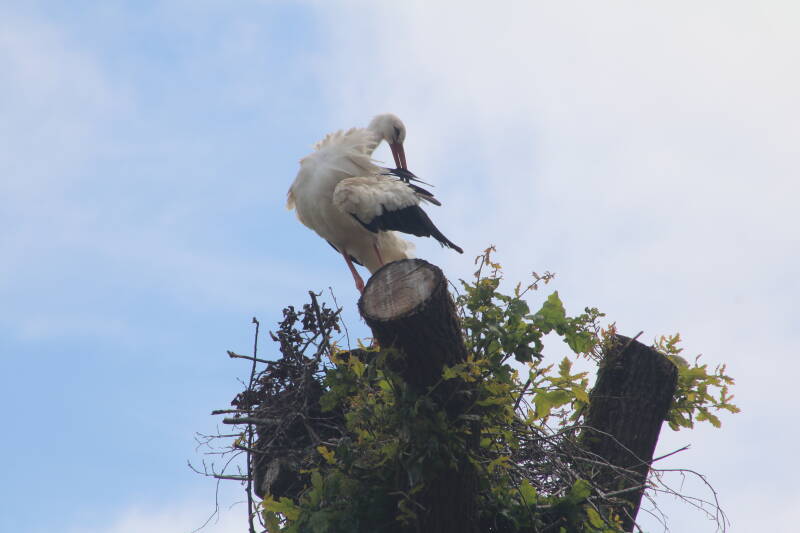img_3685-standard.jpg