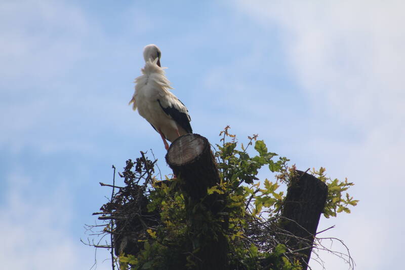 img_3686-standard.jpg