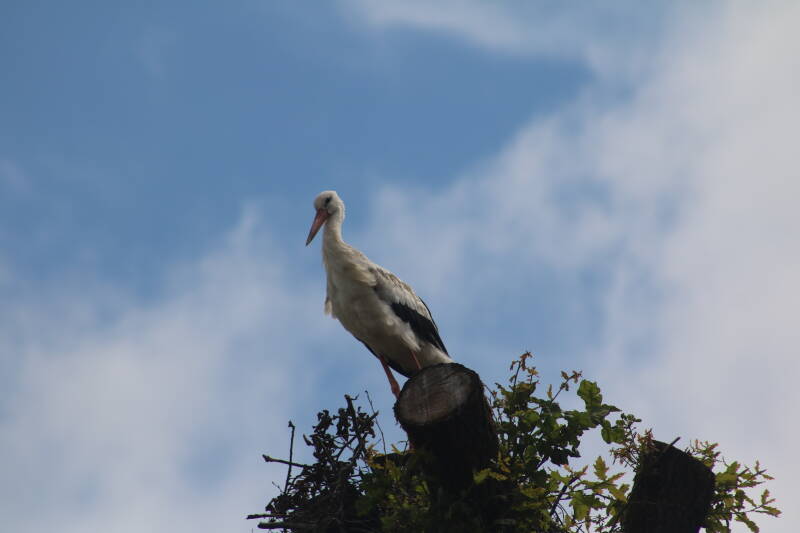 img_3688-standard.jpg