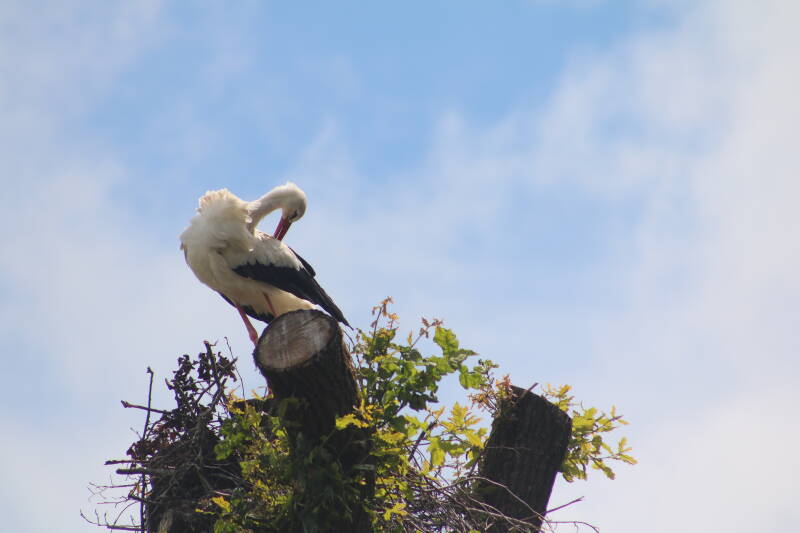 img_3689-standard.jpg