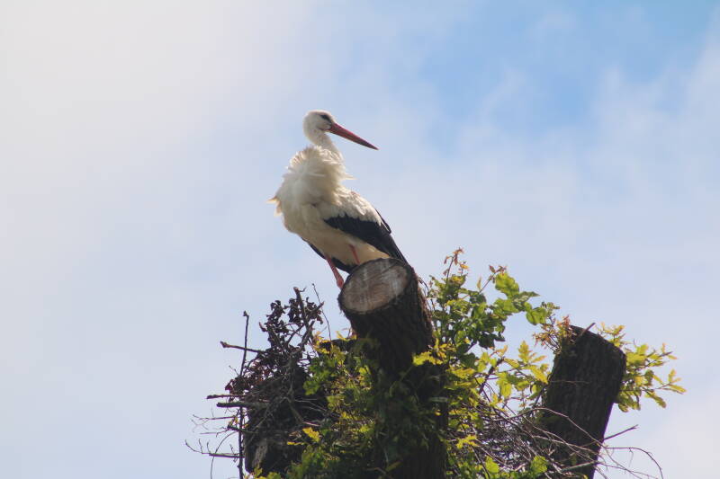 img_3690-standard.jpg