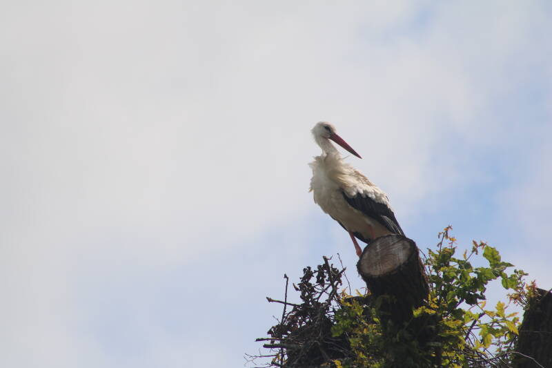 img_3693-standard.jpg