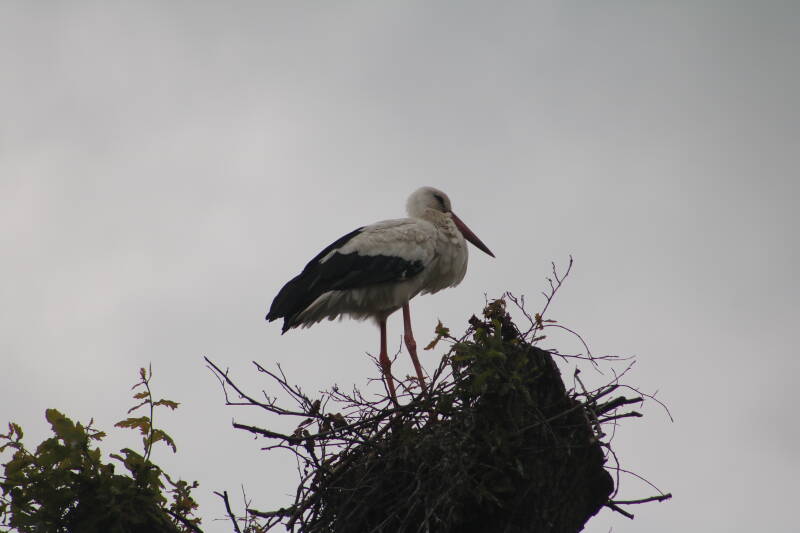 img_3702-standard.jpg