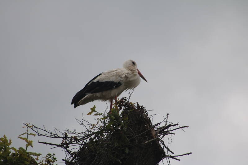 img_3704-standard.jpg