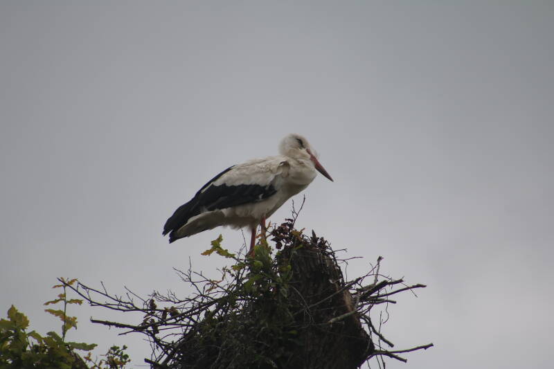 img_3706-standard.jpg