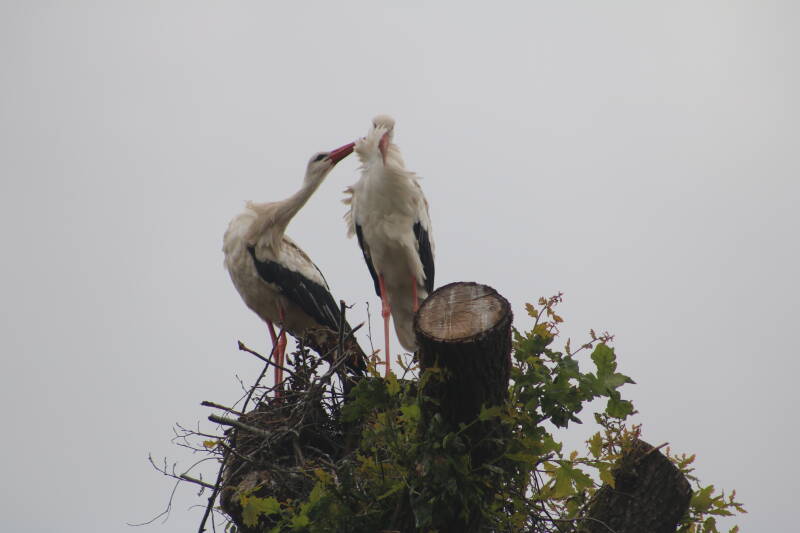 img_3753-standard.jpg