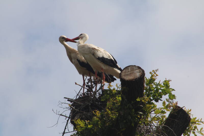 img_3757-standard.jpg