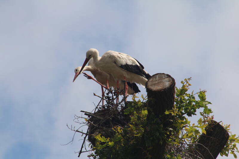 img_3758-standard.jpg
