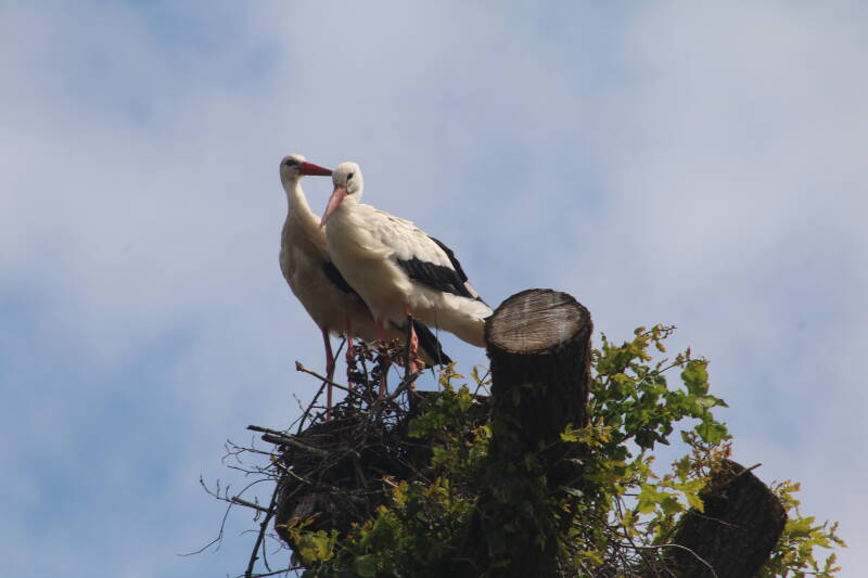 img_3759-standard.jpg