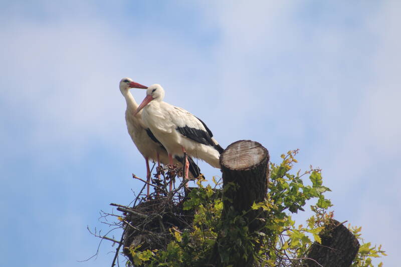 img_3760-standard.jpg
