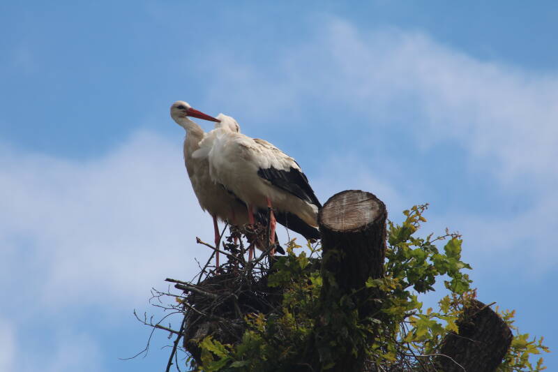 img_3763-standard.jpg