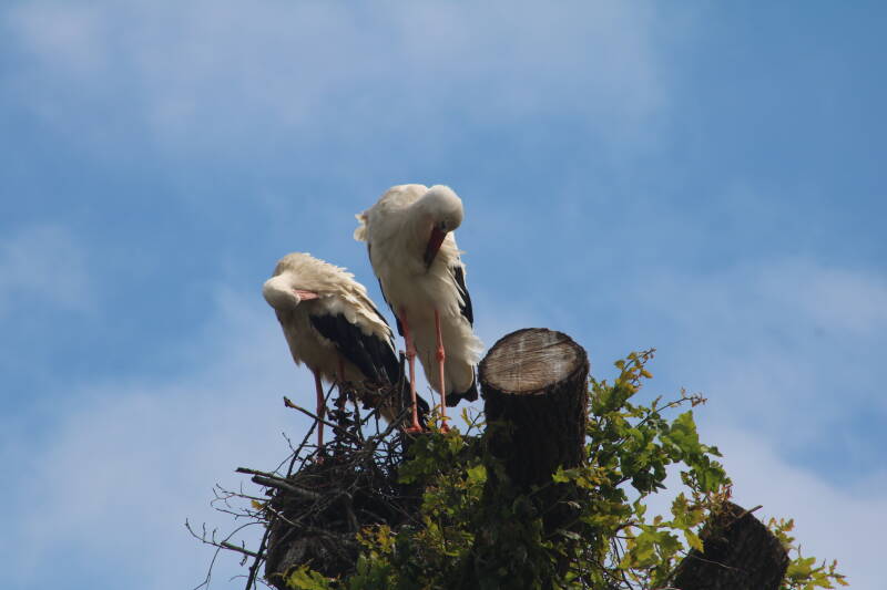 img_3767-standard.jpg