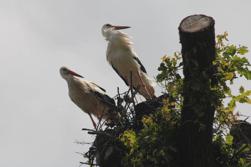 img_3770-standard.jpg