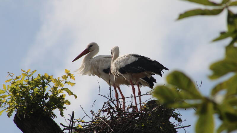 img_3991-standard.jpg