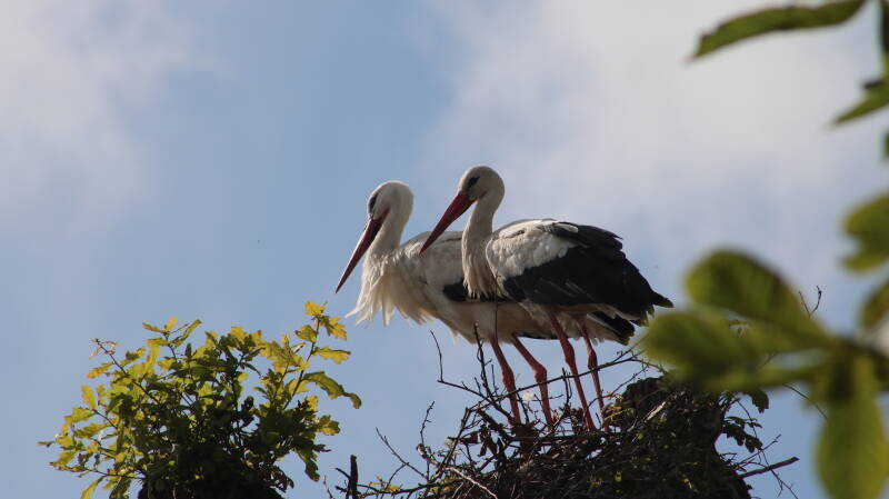 img_3993-standard.jpg