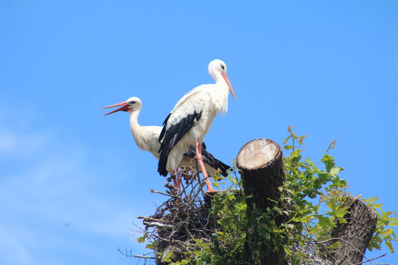img_4000-standard.jpg