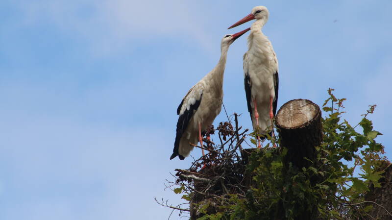 img_4014-standard.jpg