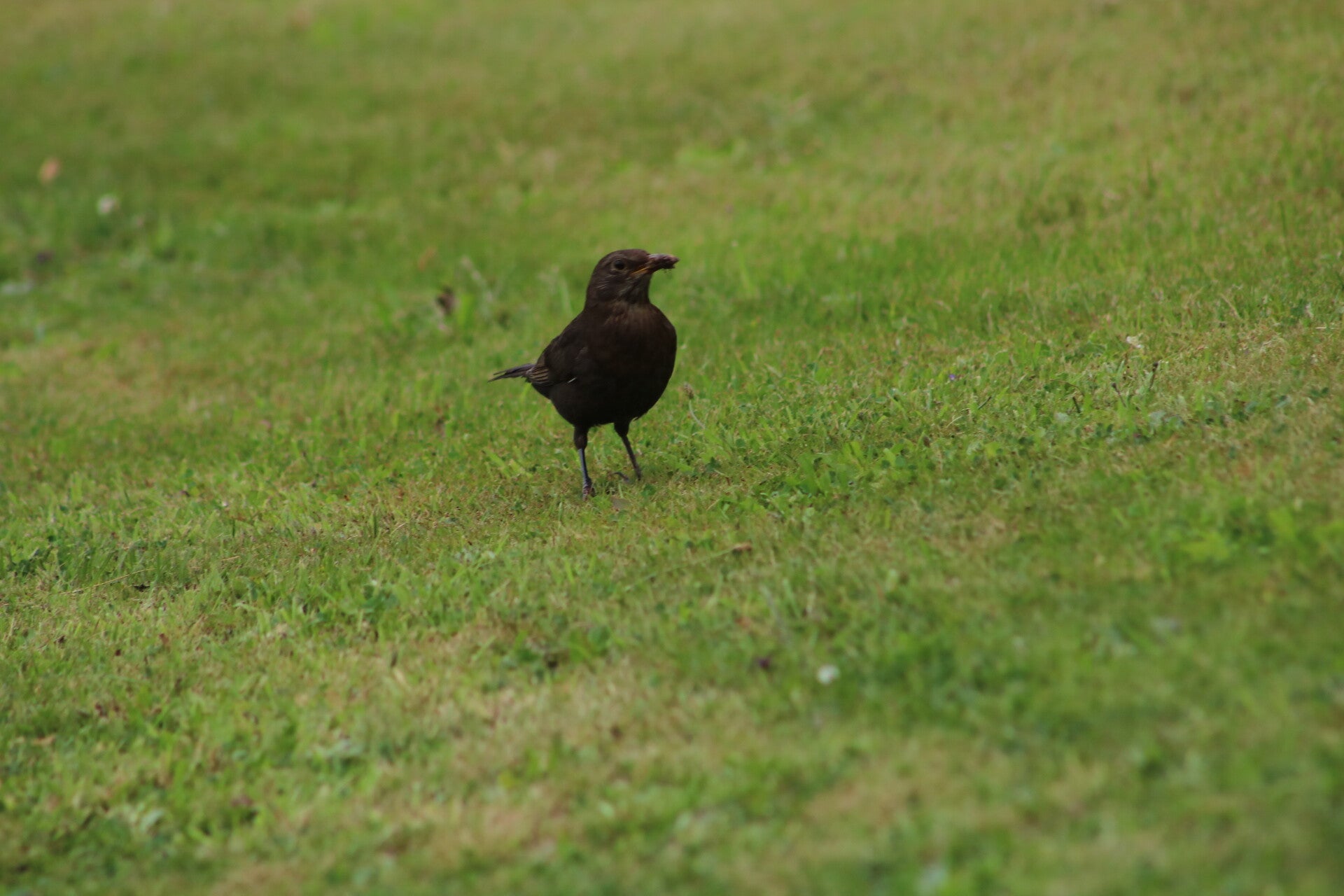 img_7888-standard.jpg