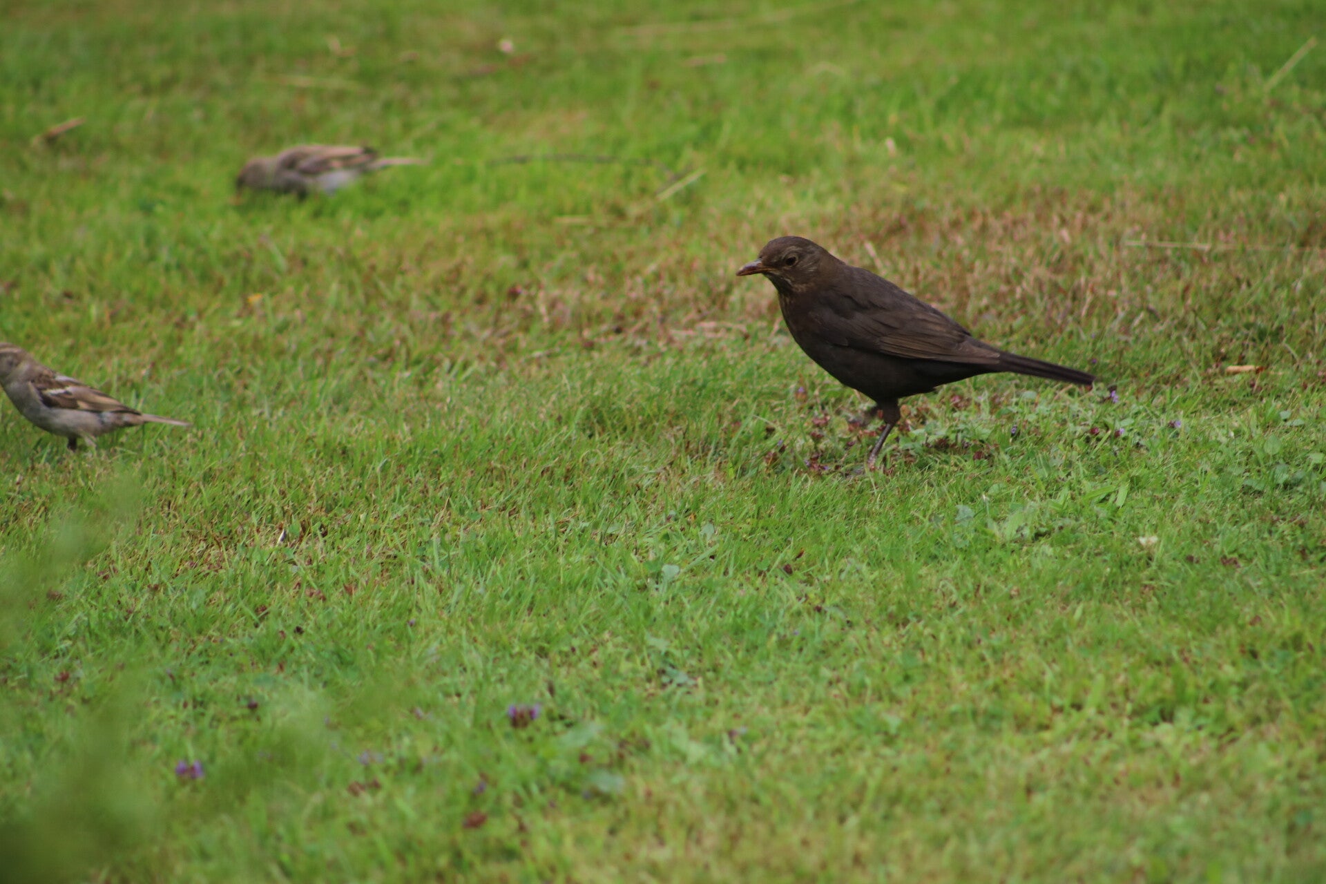 img_7892-standard.jpg
