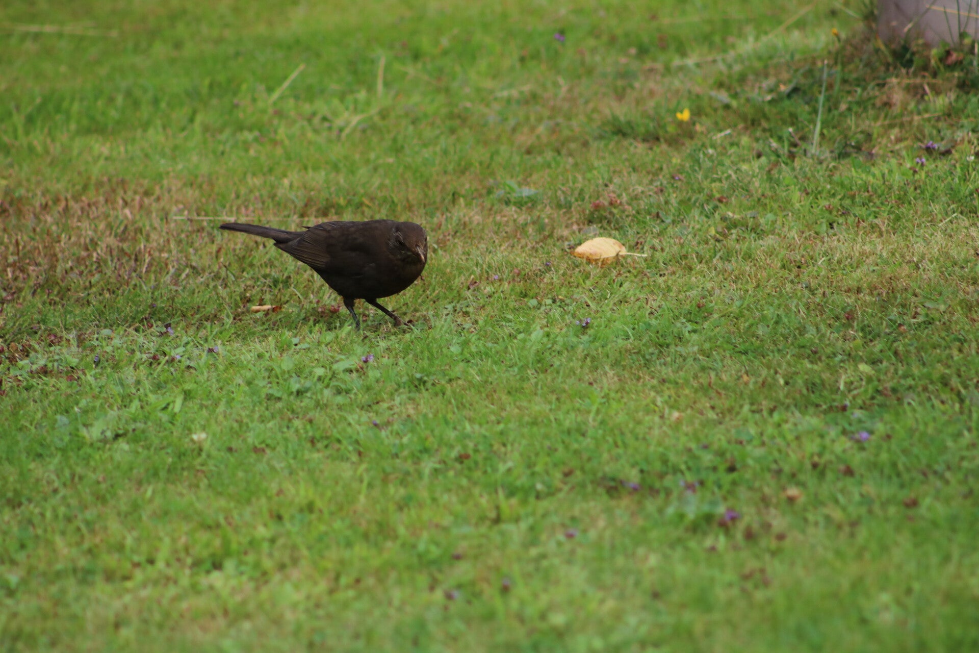 img_7893-standard.jpg