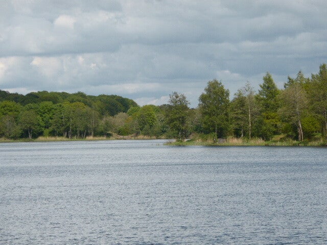 p1440429.jpg