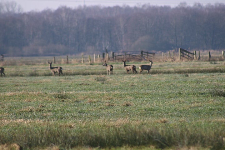 img_4971.jpg