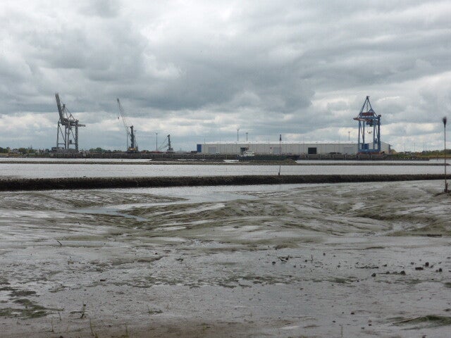 p1440360.jpg