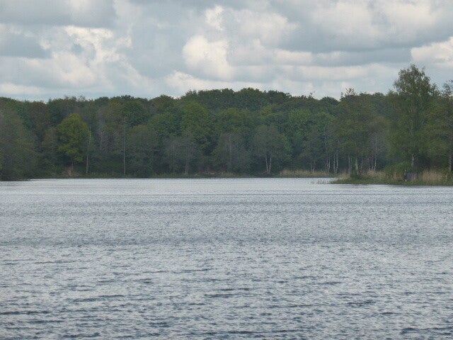 p1440438.jpg