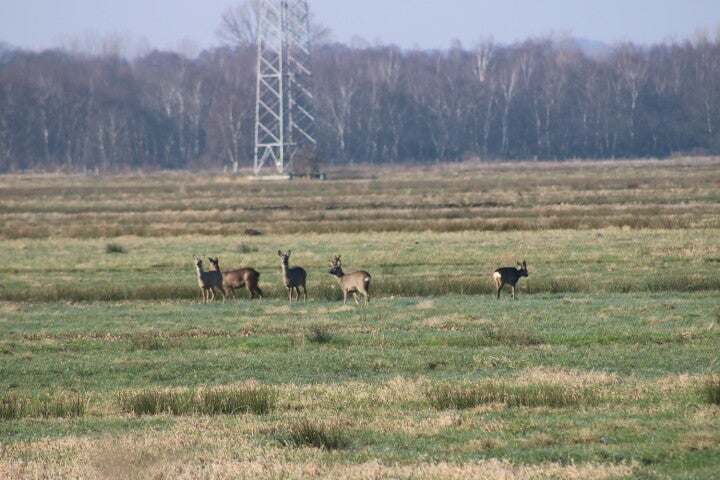 img_4961.jpg