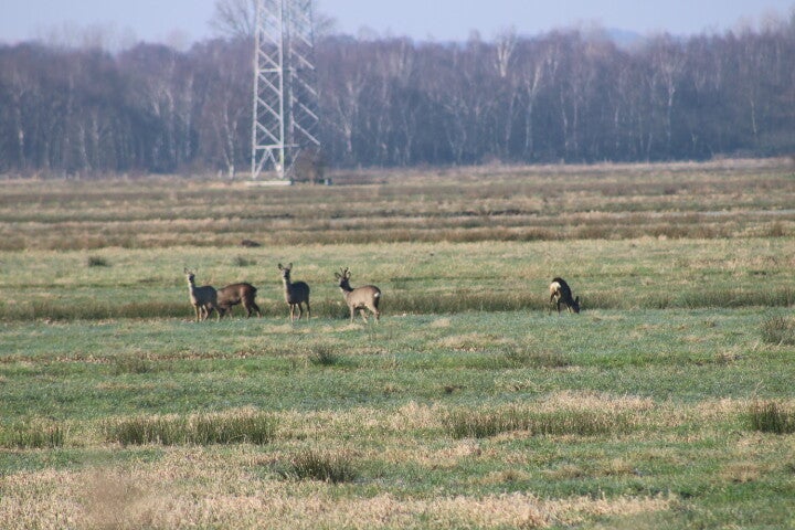img_4962.jpg